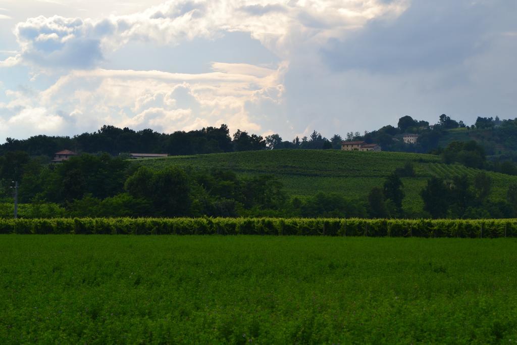 Bed And Breakfast Villa Novella Crocetta del Montello Luaran gambar