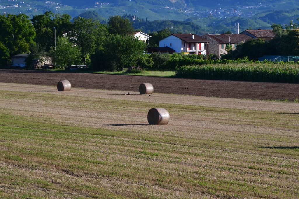 Bed And Breakfast Villa Novella Crocetta del Montello Luaran gambar